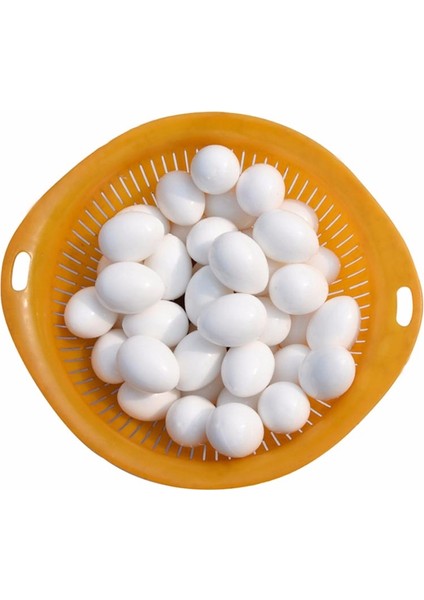 5 Parça Kuş Malzemeleri Güvercin Sahte Yumurtalar Dolu Plastik Katı Simülasyon Yumurta Yavru Için Üreme Malzemeleri C42 (Yurt Dışından)