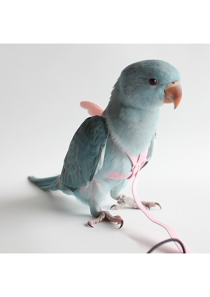 Sarı Stil S Beden Güvercin Papağan Kuş Esnek Tasma Küçük Orta Büyük Kuşlar Için Macaw Budgie Muhabbet Kuşu Dış Mekan Evcil Papağan Uçma Tasma Ipi (Yurt Dışından) fiyatları