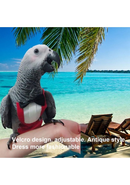 Siyah Stil L Beden Yumuşak Dokulu Şık Yumuşak Kuş Papağan Bebek Bezi Yıkanabilir Kakadu Kıyafetleri Batı Tarzı Kuş Malzemeleri (Yurt Dışından) fiyatları