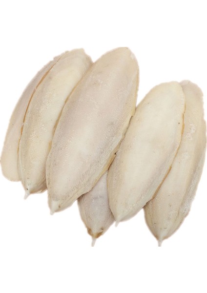 1 Paket (3-5 Adet) Stil 1 Paket Kesilmiş Mürekkep Balığı Kemiği Mürekkep Balığı Kuş Kafesi Kalsiyum Taşı Evcil Hayvan Malzemeleri Papağan Kuşlar Diş Gıcırdatma Eğitimi (Yurt Dışından)