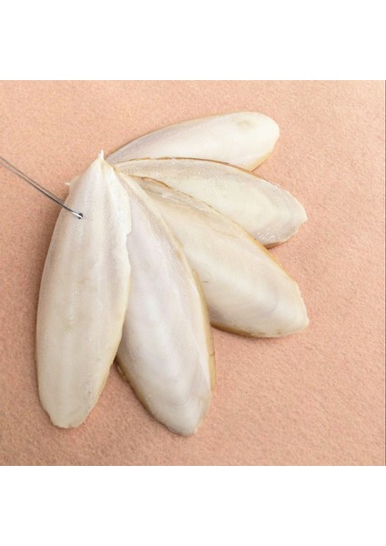 1 Paket (3-5 Adet) Stil 1 Paket Kesilmiş Mürekkep Balığı Kemiği Mürekkep Balığı Kuş Kafesi Kalsiyum Taşı Evcil Hayvan Malzemeleri Papağan Kuşlar Diş Gıcırdatma Eğitimi (Yurt Dışından) fiyatları