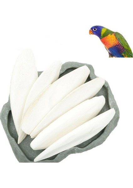 1 Paket (3-5 Adet) Stil 1 Paket Kesilmiş Mürekkep Balığı Kemiği Mürekkep Balığı Kuş Kafesi Kalsiyum Taşı Evcil Hayvan Malzemeleri Papağan Kuşlar Diş Gıcırdatma Eğitimi (Yurt Dışından) modelleri
