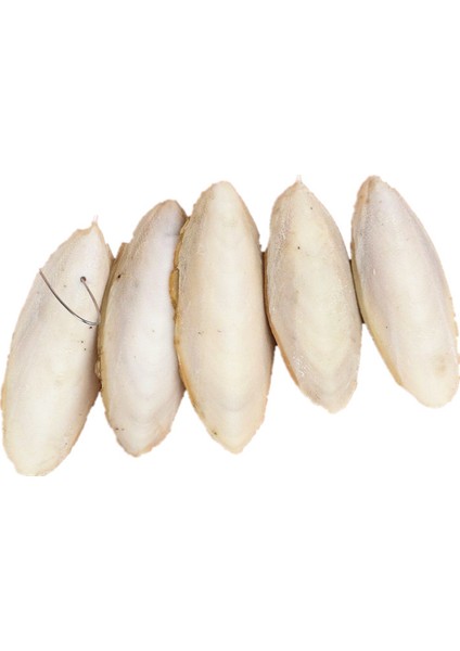 1 Paket (3-5 Adet) Stil 1 Paket Kesilmiş Mürekkep Balığı Kemiği Mürekkep Balığı Kuş Kafesi Kalsiyum Taşı Evcil Hayvan Malzemeleri Papağan Kuşlar Diş Gıcırdatma Eğitimi (Yurt Dışından) fırsatları