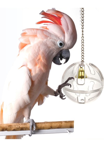 Zincir Stili ile Evcil Hayvan Kuş Papağan Yemi Foraging Zil Zinciri Top Kafes Oyuncağı Asma Kafes Dekor Oyuncağı Kemirme Oyuncağı Foraging Zil Kuş Oyuncağı (Yurt Dışından) modelleri