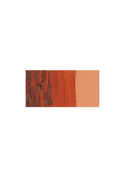 Graduate Akrilik Boya 500ML 201 Burnt Sienna