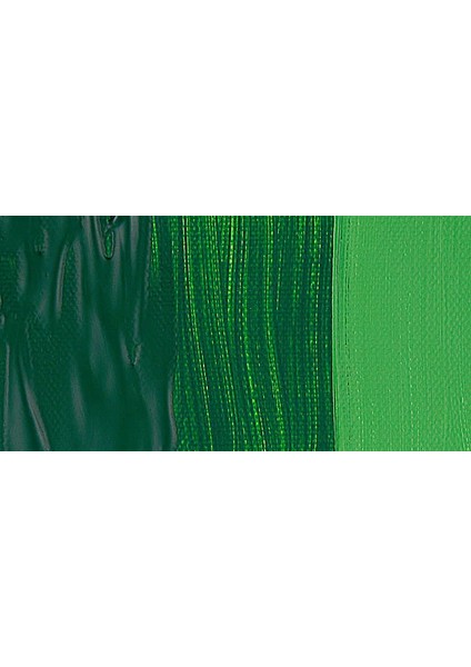 Graduate Akrilik Boya 120ML Sap Green (375)