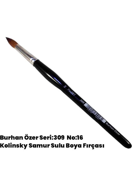 Burhan Özer Seri: 309 No:16 Kolinsky Samur Sulu Boya Fırçası