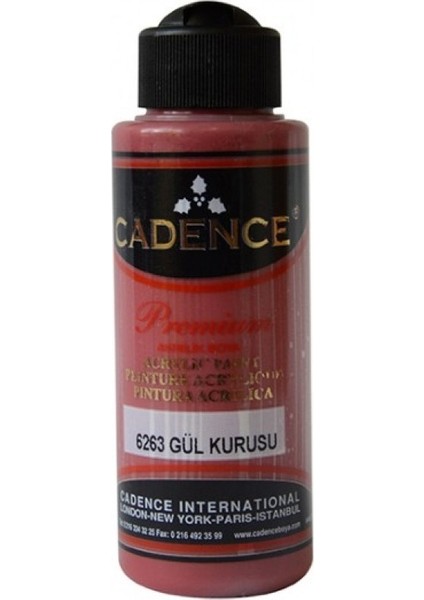 Premium Akrilik Boya 120ML 6263 Gül Kurusu