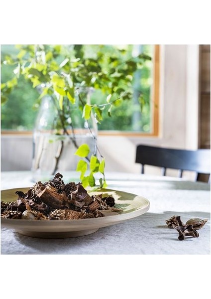 Adlad Kurutulmuş Çiçek, Çok Renkli, 90 G, Iskandinav Ormanları fırsatları