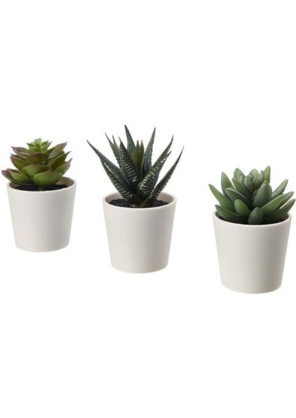 Fejka Saksılı Yapay Bitki Yeşil 6 cm 3 Adet Kaktüs