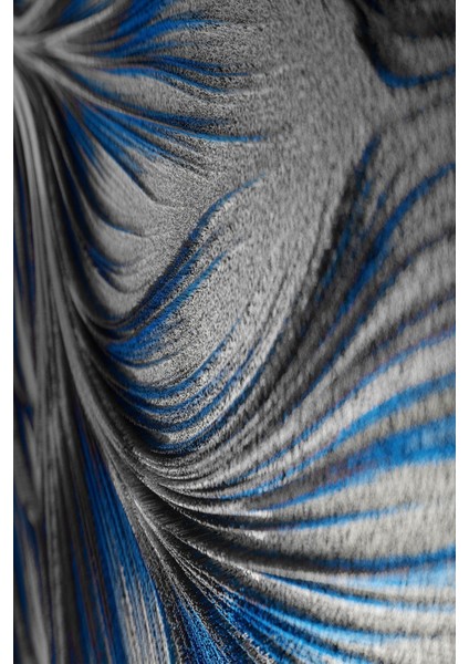 3'lüCam Tablo fiyatları