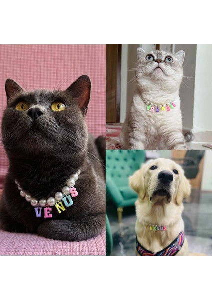 Isimli Inci Boncuklu Yetişkin Kedi/ Küçük-Orta Irk Köpek Tasması Kolyesi