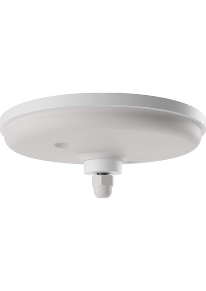 891112 - 14"x10" Bando Trampeti