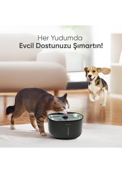 Akıllı Evcil Hayvan Sebili 3L Kapasite ve Wi-Fi Kontrollü Su Filtreleme