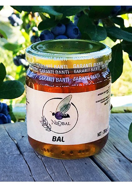 Organik Çiçek Bal 250 gr