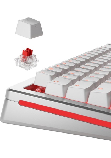 Fox Hall Effect Mekanik Klavye Switch 36 Adet