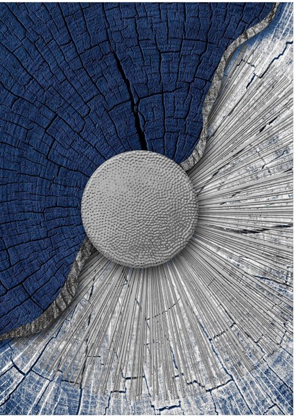 3'lüCam Tablo fiyatları