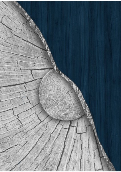 3'lüCam Tablo fırsatları