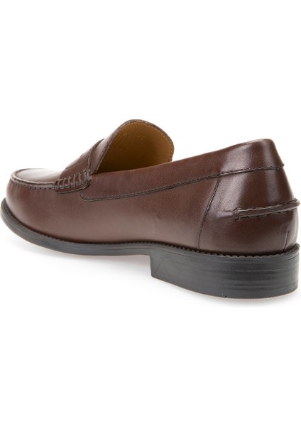 Erkek Kahverengi New Damon Deri Loafer U641ZB00043C6006