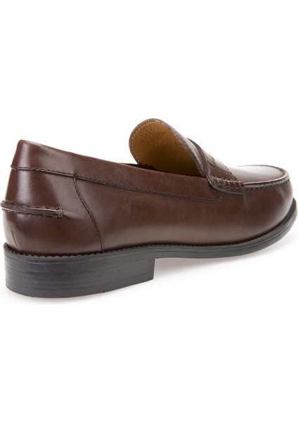 Erkek Kahverengi New Damon Deri Loafer U641ZB00043C6006