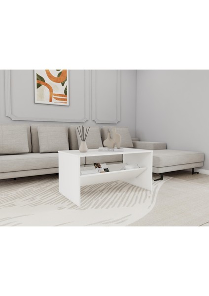 Ani Orta Sehpa fiyatları