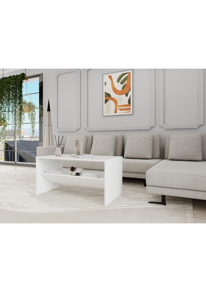 Ani Orta Sehpa modelleri