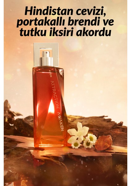 Attraction Awaken Erkek Parfüm EDT Üçlü Set 75 ml modelleri