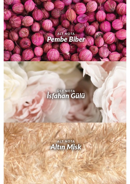 Far Away Shine Kadın Parfüm EDP Üçlü Set 50 ml fırsatları