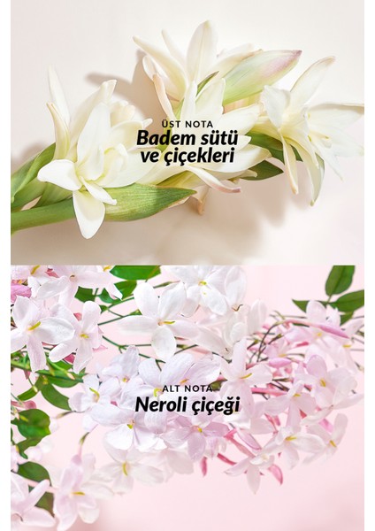 Tta Everlasting Kadın Parfüm ve Vücut Losyonu Paketi fırsatları