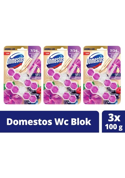 Tuvalet Bloğu Aroma Lux Hibiskus & Kırmızı Meyveler 100 gr x 3 Adet