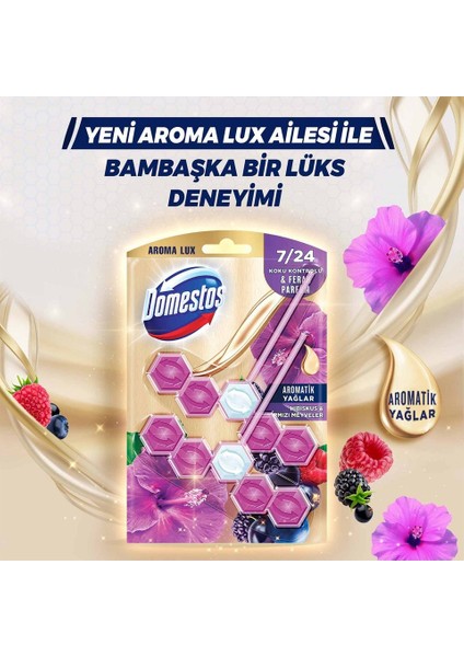 Tuvalet Bloğu Aroma Lux Hibiskus & Kırmızı Meyveler 100 gr x 3 Adet