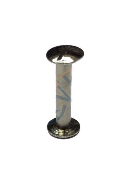 Cilt Menü Katalog Kartela Vidası 20 mm - Nikel 100 Adet