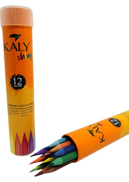 12'Li Metal Tüp Kuru Boya