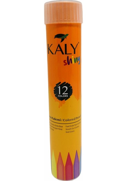 12'Li Metal Tüp Kuru Boya fiyatları