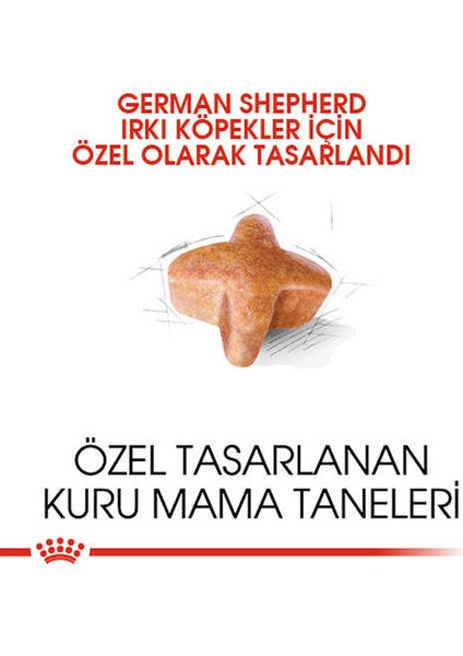 Royal Canin Alman Çoban Köpeği Yetişkin Köpek Mamaı 11KG - Petshopundan