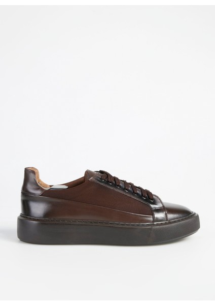 Kahve Erkek Sneaker Seka-Darren