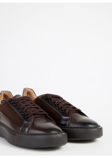 Kahve Erkek Sneaker Seka-Darren modelleri