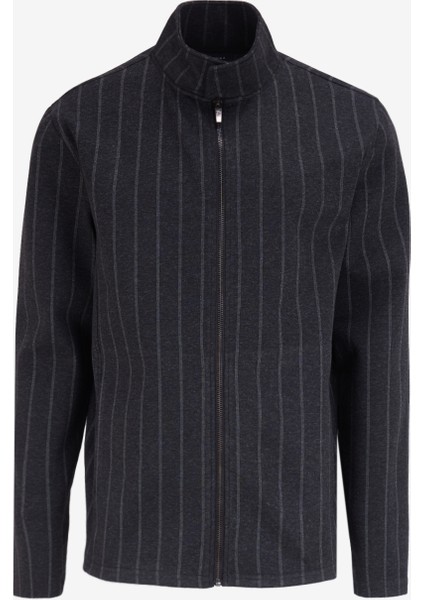 Dik Yaka Çizgili Antrasit Melanj Erkek Sweatshırt F4WM-SWT 2108