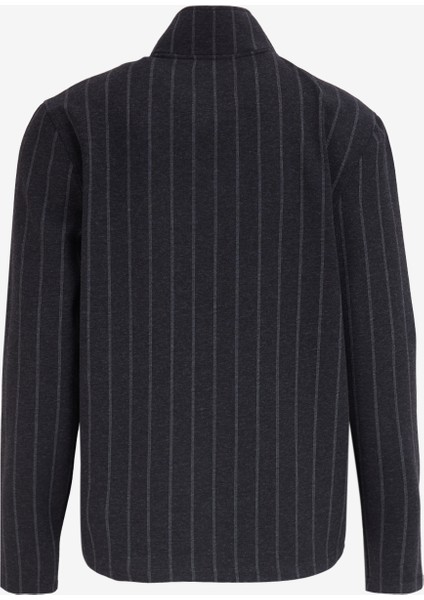 Dik Yaka Çizgili Antrasit Melanj Erkek Sweatshırt F4WM-SWT 2108 fiyatları