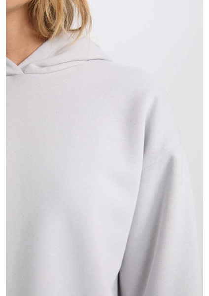 Relax Fit Kapüşonlu Kalın Basic Düz Sweatshirt D9935AX24WN
