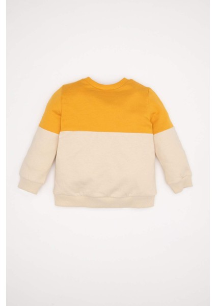 Erkek Bebek %100 Pamuk Bisiklet Yaka Renk Bloklu İçi Yumuşak Tüylü Sweatshirt A9753A524Wn indirimleri