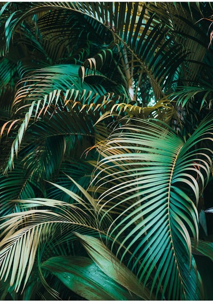 Harikabirev|çiçek-Yaprak ve Dal Kombini Zümrüt Renk |çerçeveli Temperli Cam Tablo 3lü Yatay modelleri