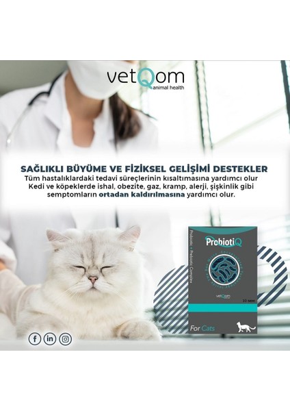 Kedi Probiotiq – Probiyotik + Prebiyotik Kompleks – 10 Saşe