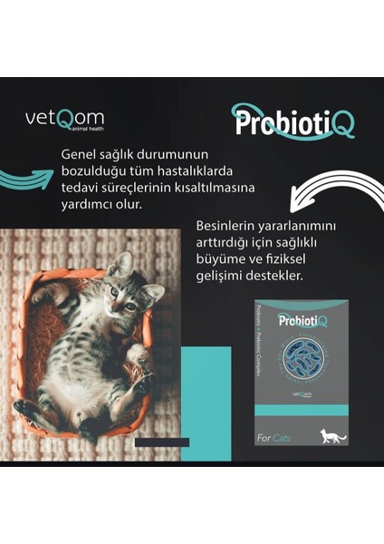 Kedi Probiotiq – Probiyotik + Prebiyotik Kompleks – 10 Saşe