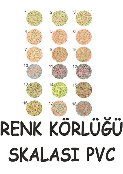 Renk Körlüğü Skalası
