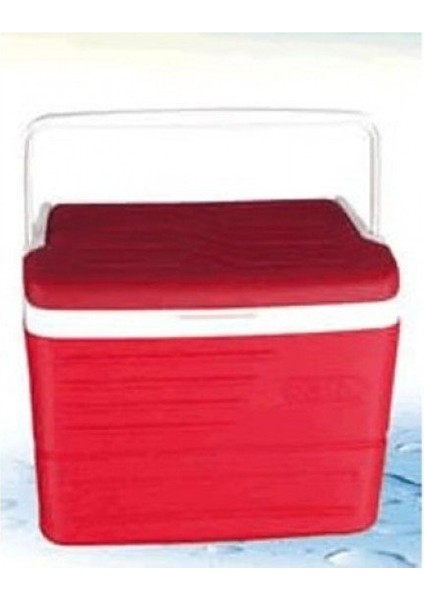 Soğutucu Transfer Çantası Aşı Nakil Kabı