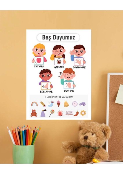 5 Duyu Organımız Çocuk Türkçe Eğitim Pvc Poster 30X42 cm