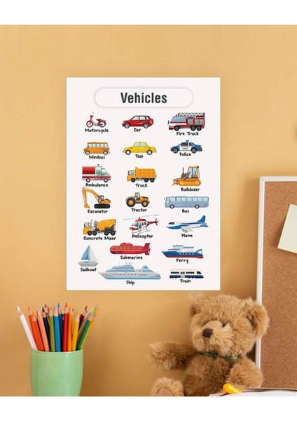 Vehicles-Araçlar Ingilizce Çocuk Eğitim Tekli Pvc Poster 30X42 cm