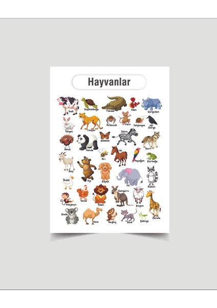 Hayvanlar Çocuk Türkçe Eğitim Tekli Pvc Poster 30X42 cm fiyatları