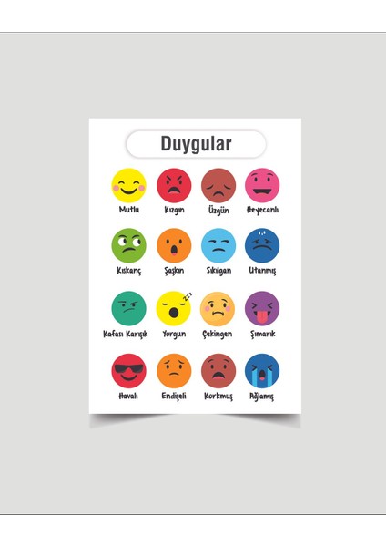 Duygular Çocuk Türkçe Eğitim Tekli Pvc Poster 30X42 cm fiyatları
